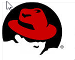 OpenSource โอเพนซอร์ส กับ "Red Hat" อีกหนึ่งทางเลือก เพื่อสร้างสรรค์ทุกสิ่งให้ธุรกิจเปลี่ยนแปลง